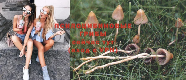 кокс Алексин
