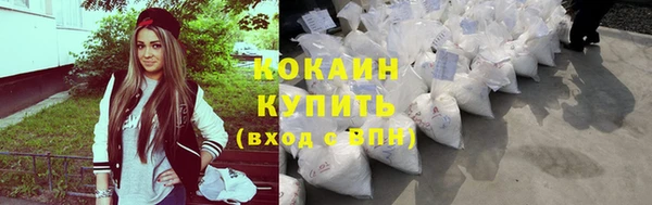 кокс Алексин