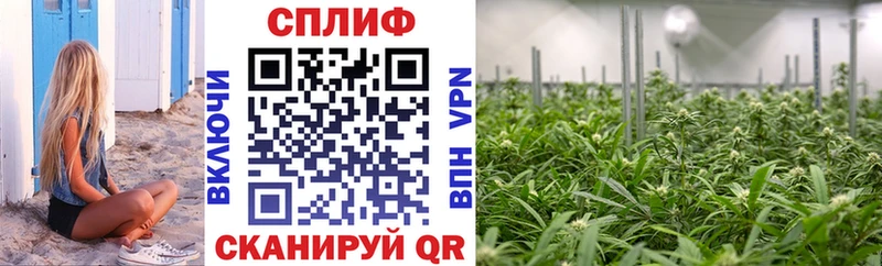 купить  сайты  Трёхгорный  Каннабис MAZAR 